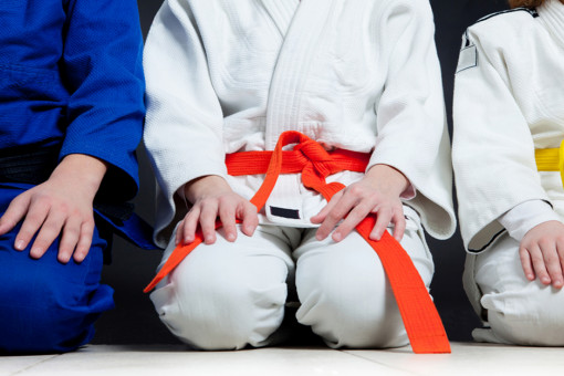 Tae Kwon Do, Karate and Other Martial Arts Classes