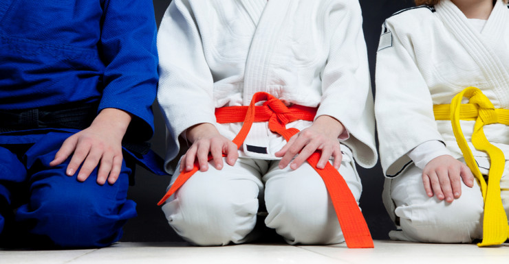 Tae Kwon Do, Karate and Other Martial Arts Classes