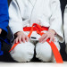 Tae Kwon Do, Karate and Other Martial Arts Classes