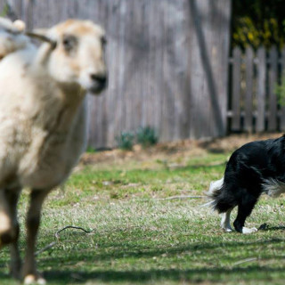 Things to Do in Bergen County Week of April 14