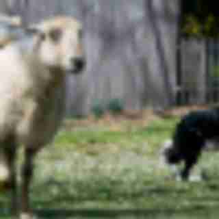 Things to Do in Bergen County Week of April 14