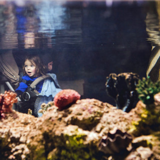 Things to Do in Bergen County Week of June 15