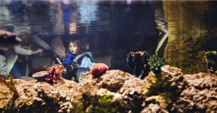 Things to Do in Bergen County Week of June 15