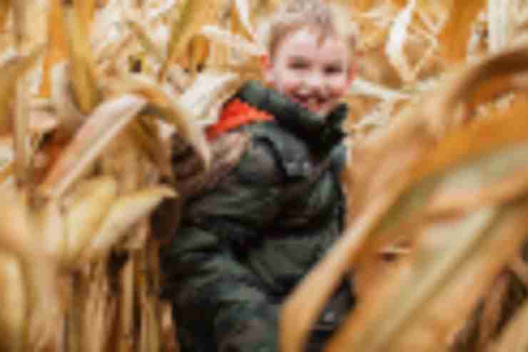 Things to do during New Jersey Teachers Convention in Bergen County