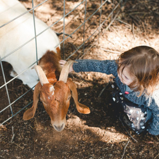 Things to Do in Bergen County Week of October 6