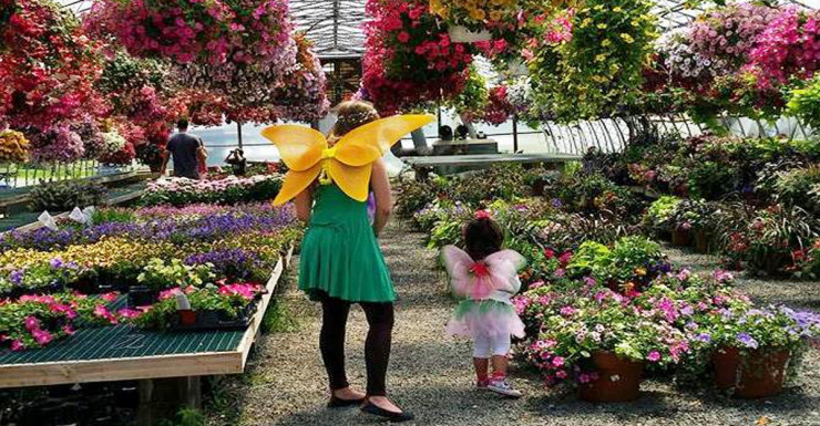 Things to Do in Bergen County Week of June 8