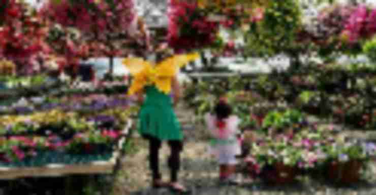 Things to Do in Bergen County Week of June 8