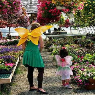 Things to Do in Bergen County Week of June 8