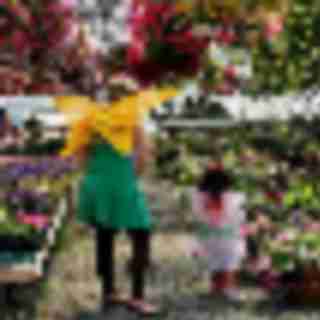 Things to Do in Bergen County Week of June 8