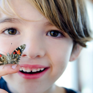 Things to Do in Bergen County Week of March 31