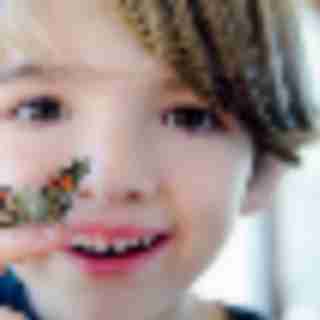 Things to Do in Bergen County Week of March 31