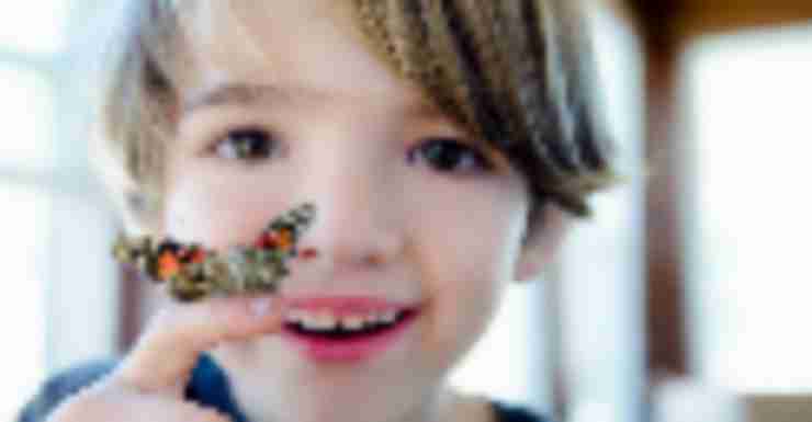 Things to Do in Bergen County Week of March 31