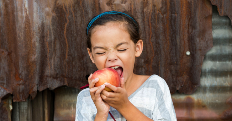 Things to Do in Bergen County Week of August 3