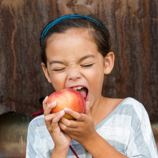 Things to Do in Bergen County Week of August 3