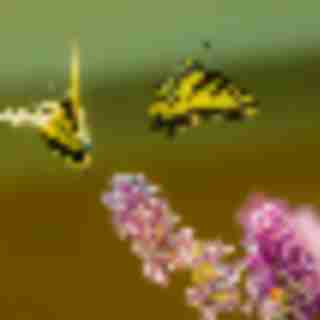 Things to Do in Bergen County Week of August 24