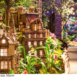 Things to Do in Bergen County Week of December 1