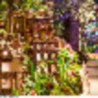 Things to Do in Bergen County Week of December 1