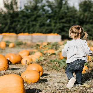 Things to Do in Bergen County Week of October 12