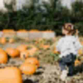 Things to Do in Bergen County Week of October 12