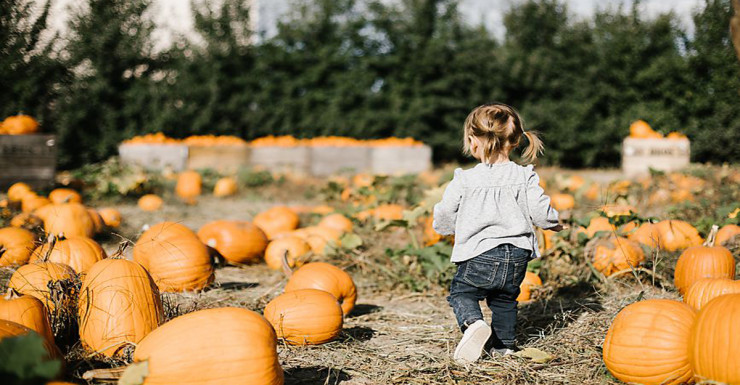 Things to Do in Bergen County Week of October 12