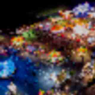 Things to Do in Bergen County Week of June 6