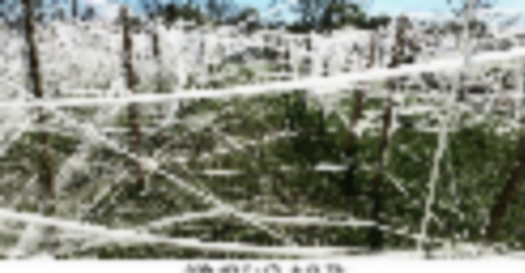 Things to Do in Bergen County Week of October 26