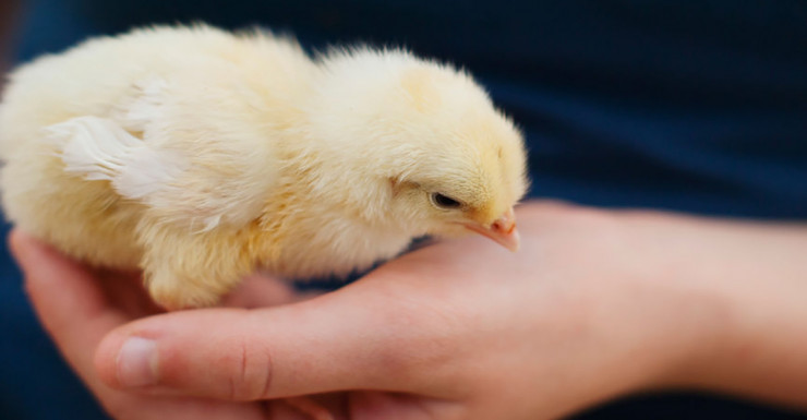 Things to Do in Bergen County Week of March 7