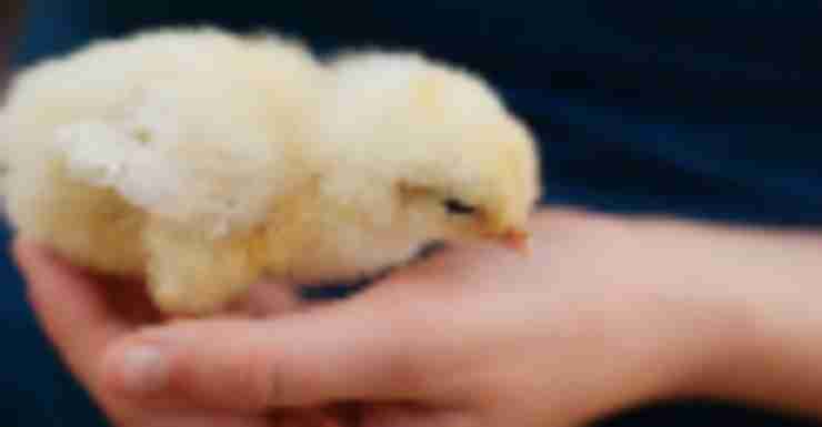 Things to Do in Bergen County Week of March 7