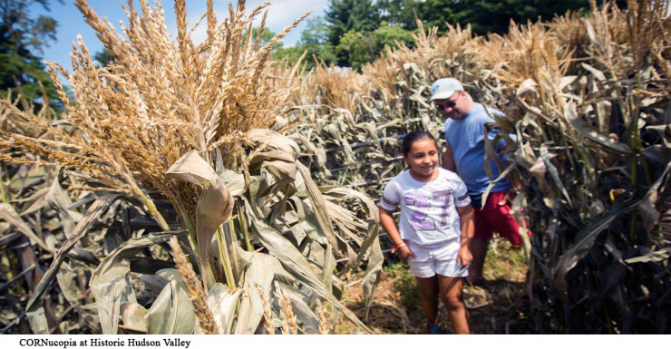 Things to Do in Bergen County Week of August 30