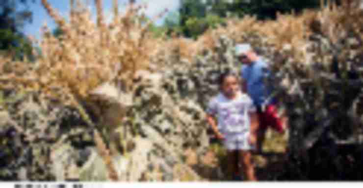 Things to Do in Bergen County Week of August 30