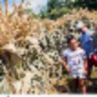 Things to Do in Bergen County Week of August 30