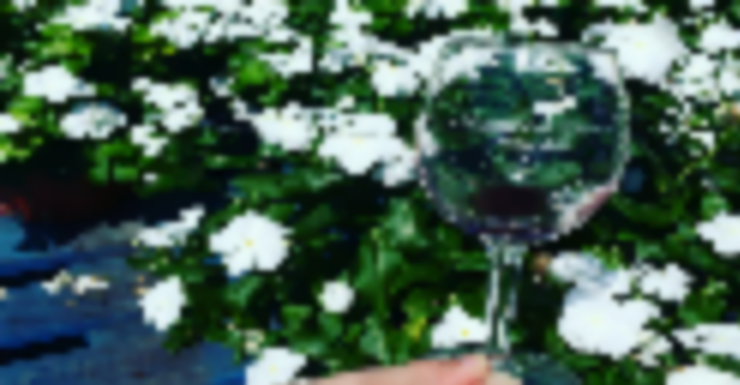 Things to Do in Bergen County Week of August 10