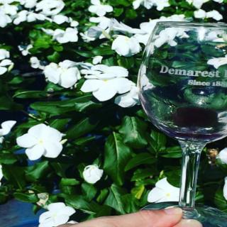 Things to Do in Bergen County Week of August 10