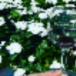 Things to Do in Bergen County Week of August 10