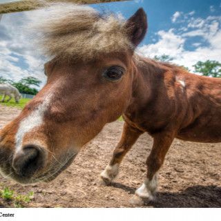 Things to Do in Bergen County Week of May 17