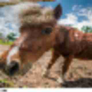 Things to Do in Bergen County Week of May 17