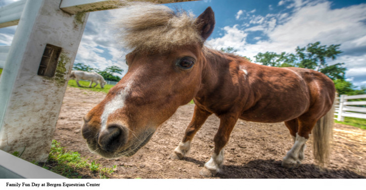 Things to Do in Bergen County Week of May 17