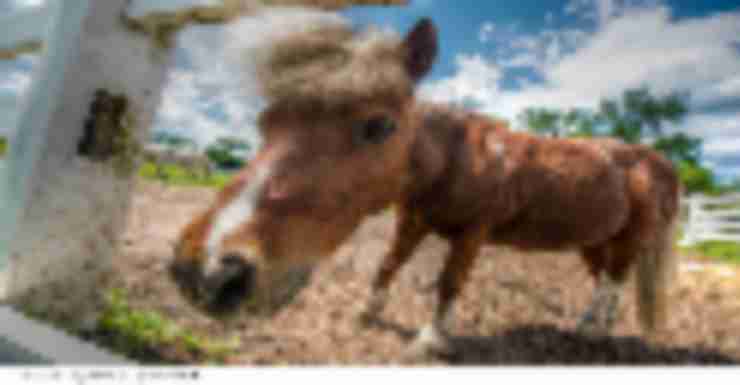 Things to Do in Bergen County Week of May 17