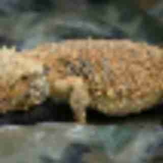 Summer *FREE* Fun at Westfield Garden State Plaza with bergenPAC (dedicated)