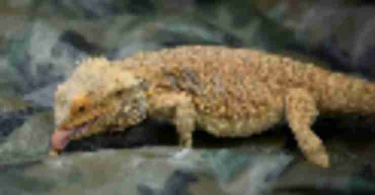 Summer *FREE* Fun at Westfield Garden State Plaza with bergenPAC (dedicated)