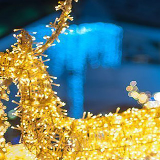 Things to Do in Bergen County Week of December 20