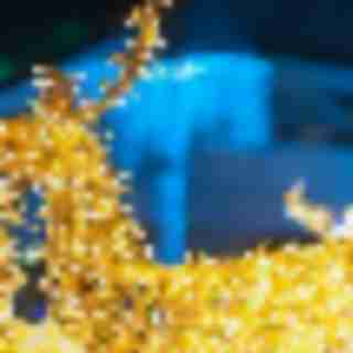 Things to Do in Bergen County Week of December 20