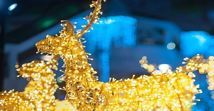 Things to Do in Bergen County Week of December 20