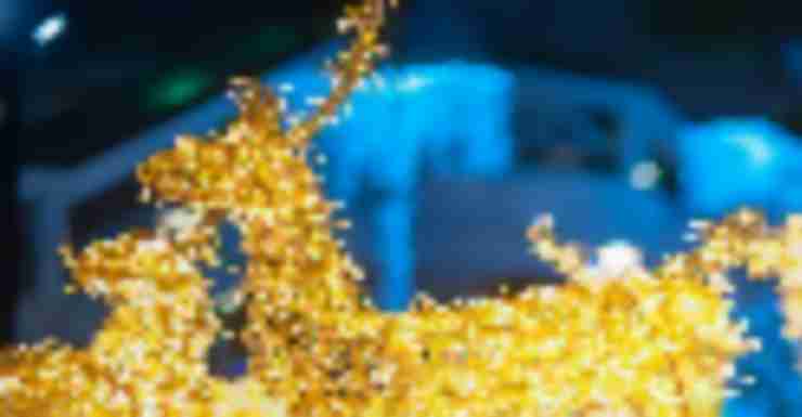 Things to Do in Bergen County Week of December 20