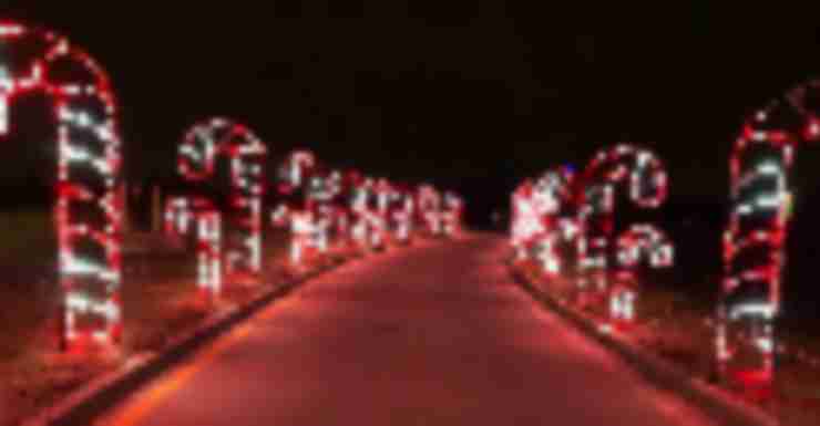 Things to Do in Bergen County Week of December 6