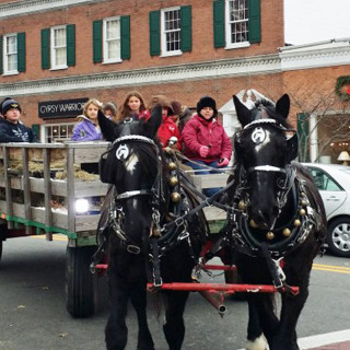 Things to Do in Bergen County Week of November 22