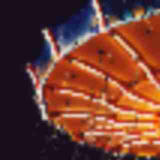 Things to Do in Bergen County Week of April 4