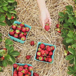 Things to Do in Bergen County Week of June 7