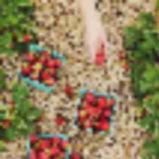 Things to Do in Bergen County Week of June 7