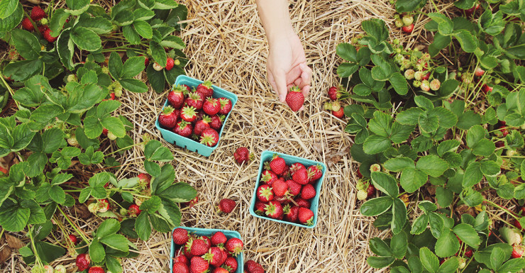 Things to Do in Bergen County Week of June 7